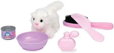 Playcircle - Pet Grooming Service