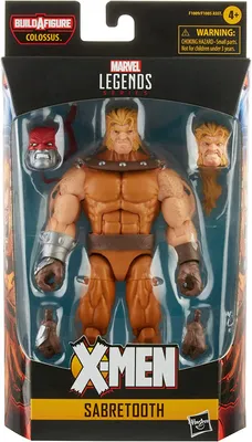 Hasbro Marvel Legends Series 6-inch Scale Action Figure Toy Sabretooth, Premium Design, 1 Figure, 3 Accessories, and 1 Build-A-Figure Part