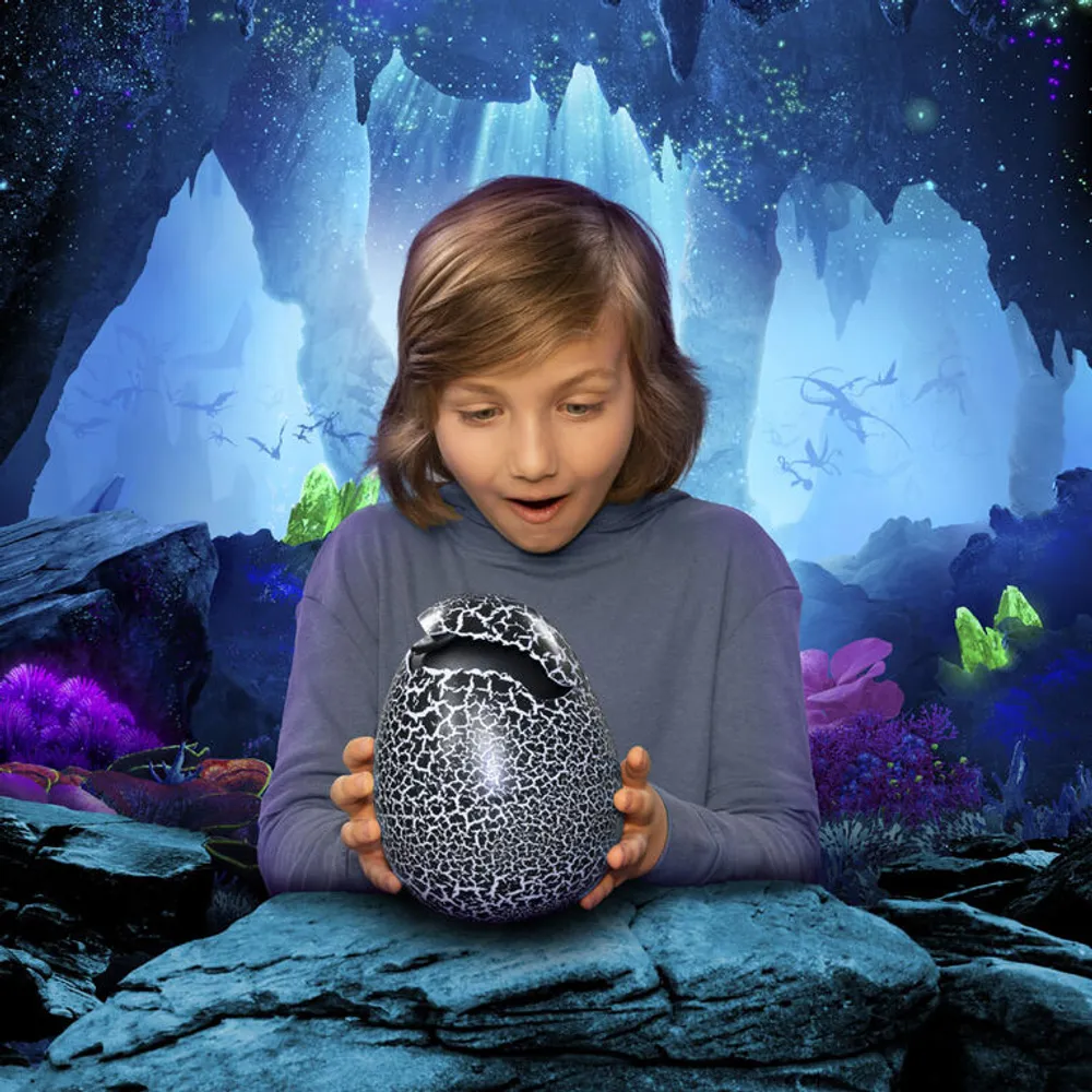 How to Train Your Dragon - Toothless Hatching Dragon