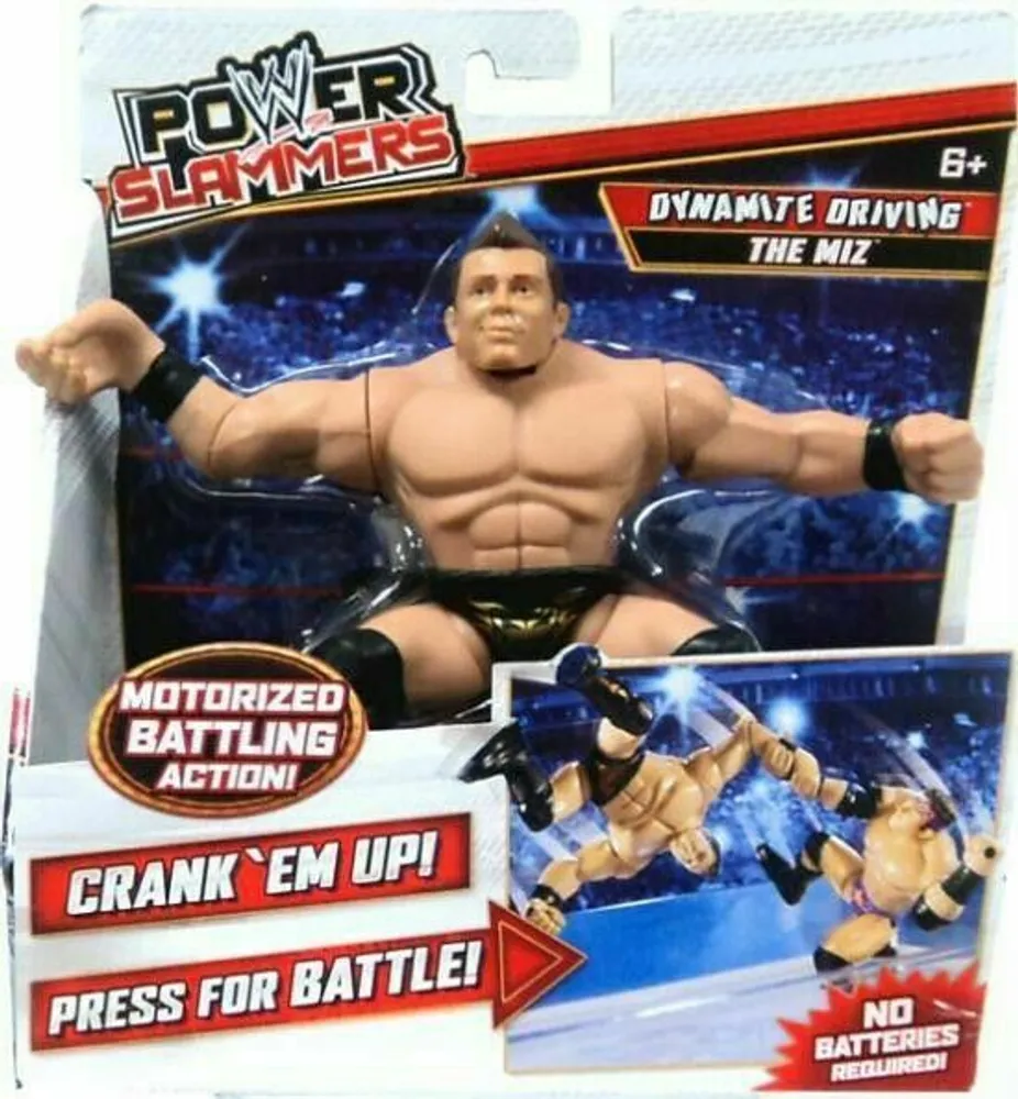 WWE Power Slammers: The Miz