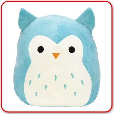 Squishmallows - 8" Winston the Teal Owl