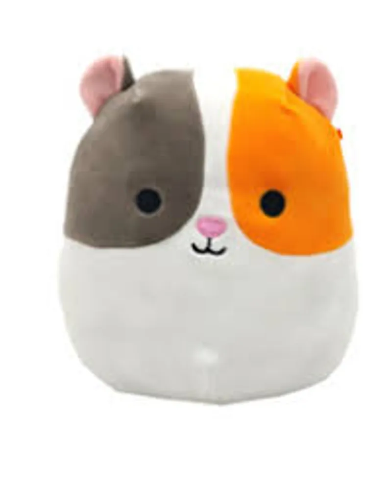 Squishmallows - 12" PET SHOP -EVERETT - HAMSTER