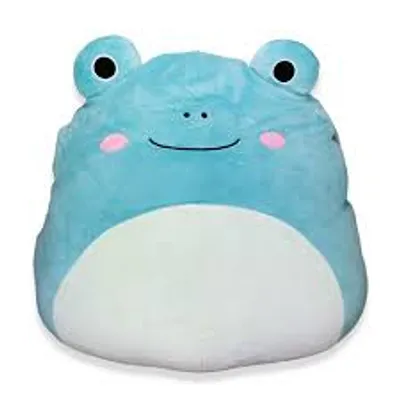 Squishmallows - 12" PET SHOP -ROBERT - FROG