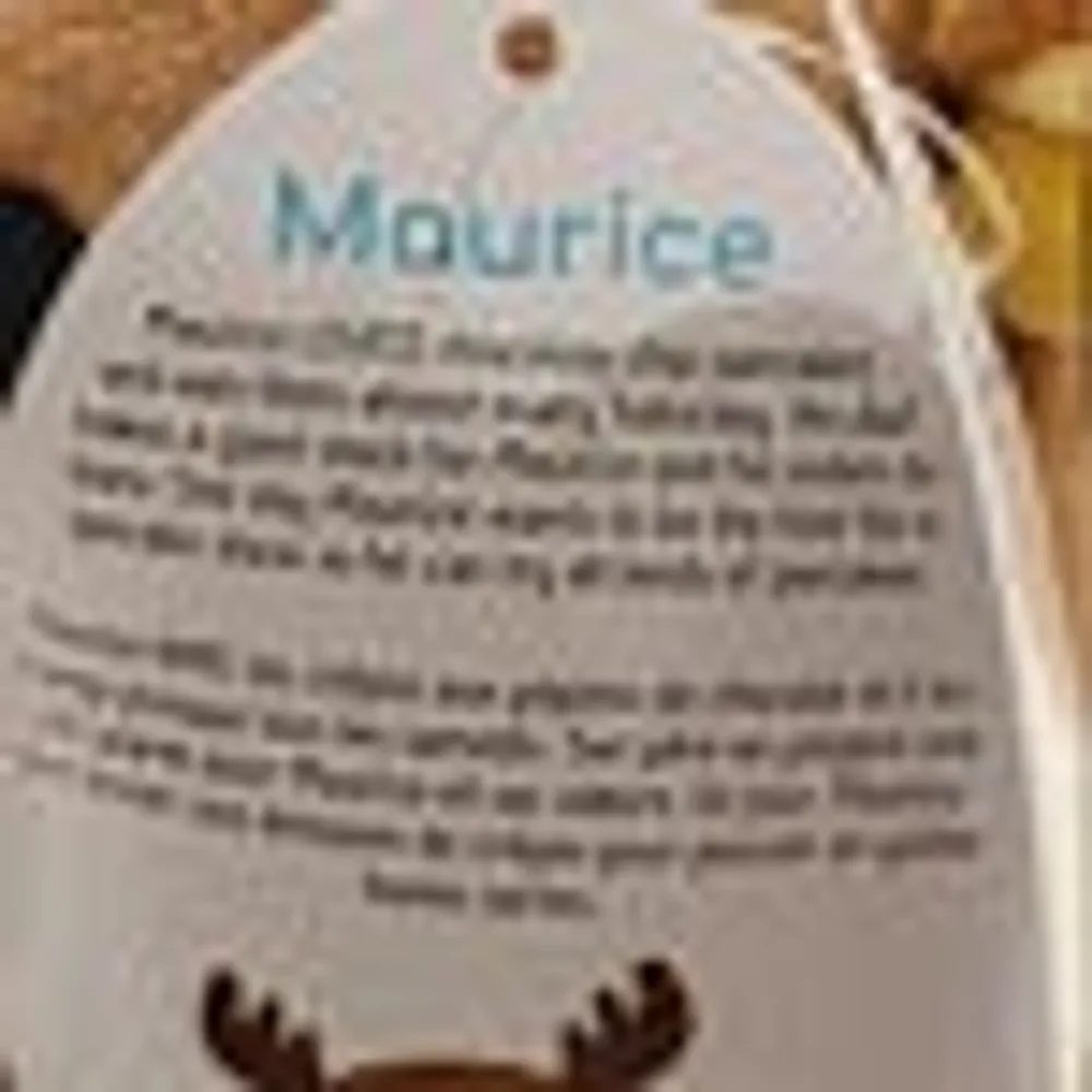 Squishmallows - 7" Maurice 'Canadian' Moose