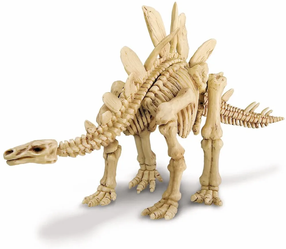 4M - Dig a Dinosaur Skeleton : Stegasaurus