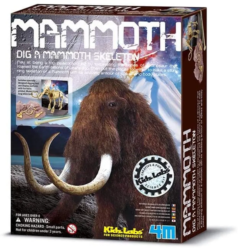 4M - Dig a Mammoth Skeleton