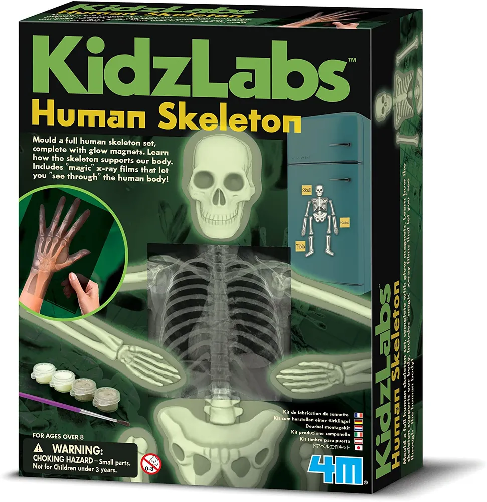 4M - Glow Human Skeleton