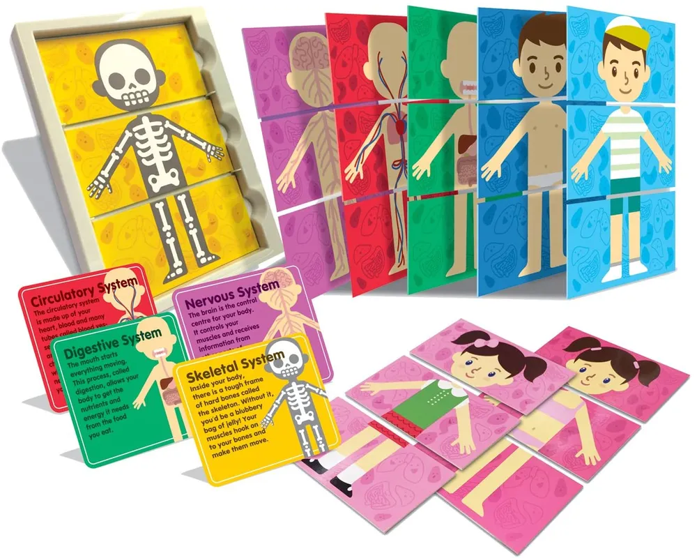 4M - Thinking Kits : My Body Systems