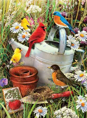 Paint By Numbers Standard - Garden Birds