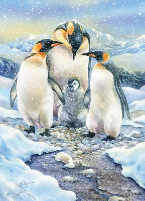 Penguin Family (Family) - Cobble Hill 350pc Puzzle