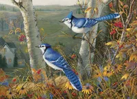 Blue Jays - Cobble Hill 1000pc Puzzle