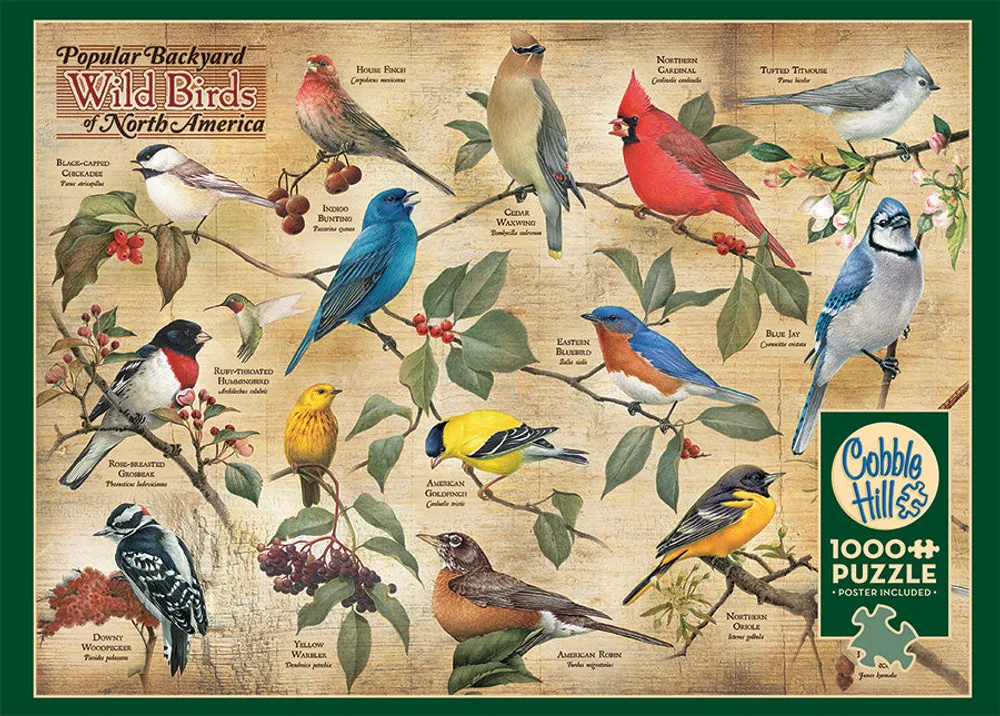 Popular Backyard Wild Birds of N.A. - Cobble Hill 1000pc Puzzle
