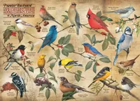 Popular Backyard Wild Birds of N.A. - Cobble Hill 1000pc Puzzle