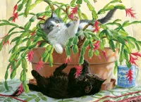 Cactus Kitties - Cobble Hill 1000pc Puzzle