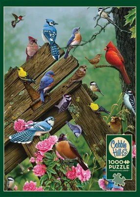 Birds of the Forest - Cobble Hill 1000pc Puzzle