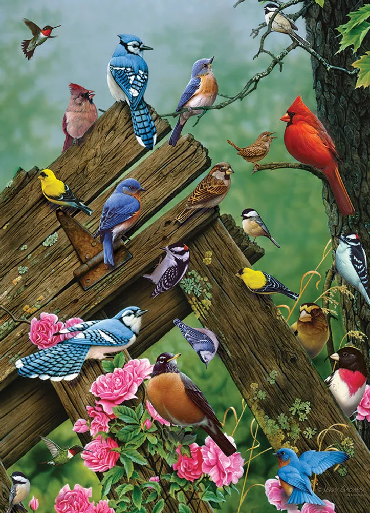 Birds of the Forest - Cobble Hill 1000pc Puzzle