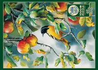 Northern Oriole - Cobble Hill 1000pc Puzzle