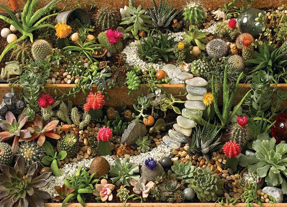 Succulent Garden - Cobble Hill 1000pc Puzzle