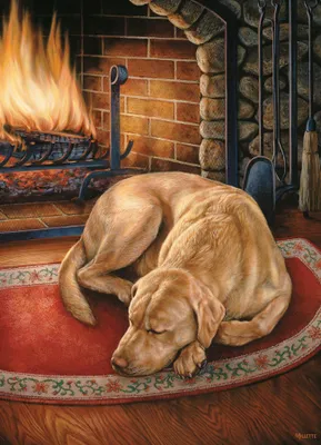 Home is Where the Dog Is - Cobble Hill 1000pc Puzzle