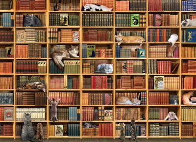 The Cat Library - Cobble Hill 1000pc Puzzle