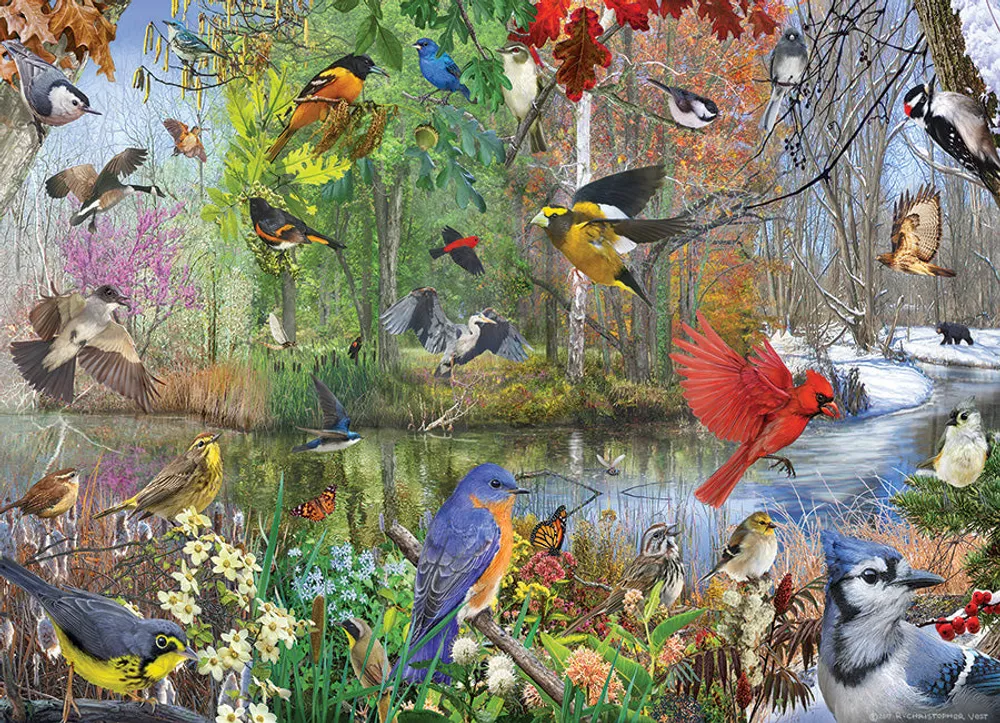 Birds of the Season - Cobble Hill 1000pc Puzzle