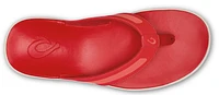 Leeward Red Lava /