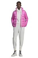 Women's Cypress Hoody - WD Twilight Magenta