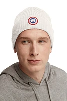 Arctic Disc Rib Toque Cottongr