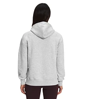 Women's Half Dome Pullover Hoodie TNF Light Grey Heather White