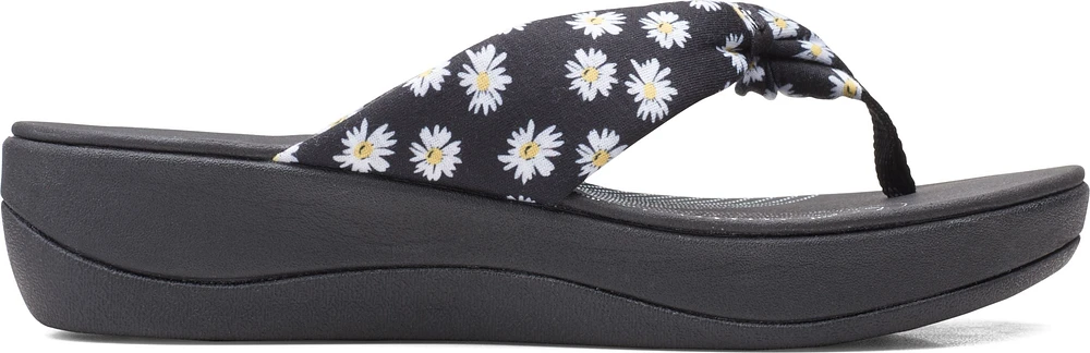 Arla Glison Black Daisies