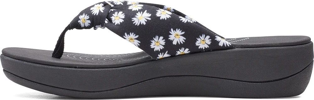 Arla Glison Black Daisies