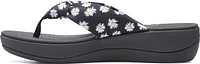 Arla Glison Black Daisies