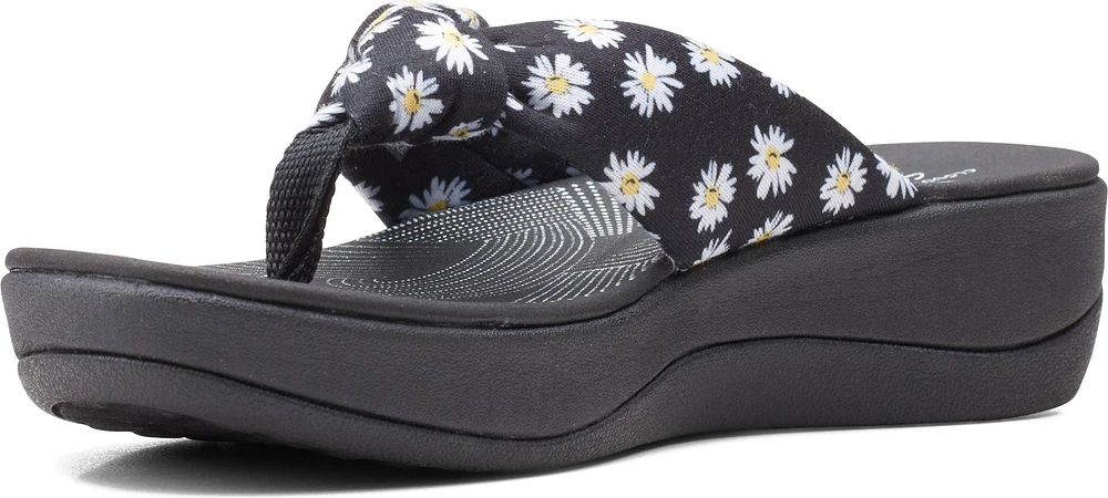 Arla Glison Black Daisies