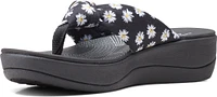 Arla Glison Black Daisies