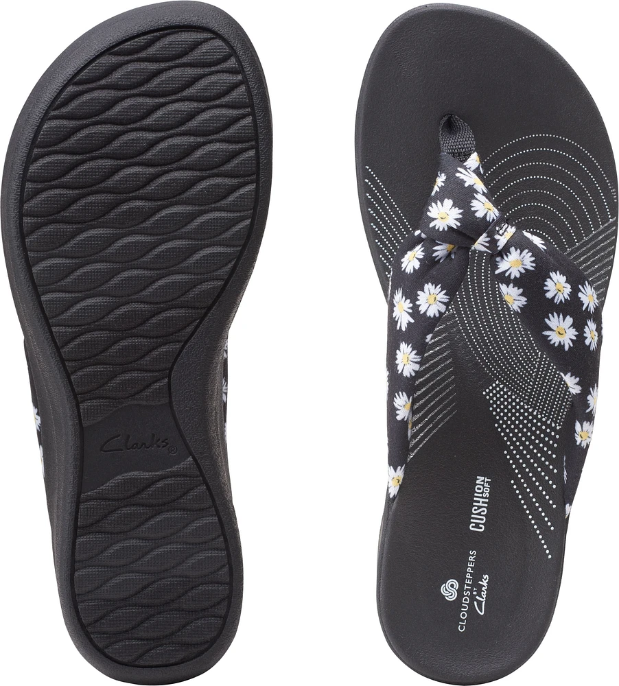 Arla Glison Black Daisies