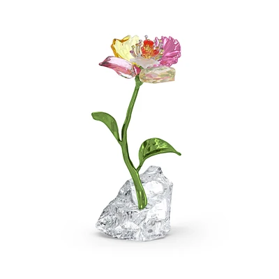 Swarovski Crystal Idyllia Flower Figurine - Small