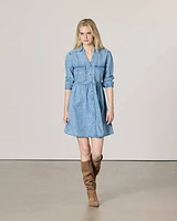 Long-Sleeve Buttoned-Down Denim Dress