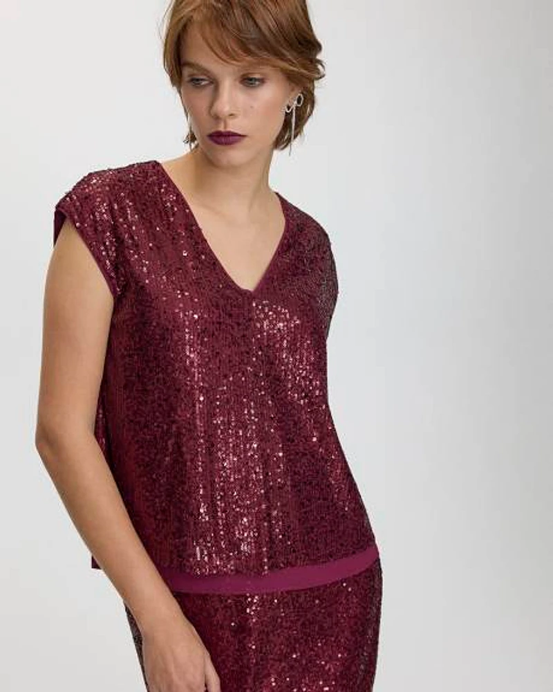 Extended-Sleeve V-Neck Sequins Top