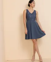 Sleeveless Lace Bodice Fit & Flare Dress