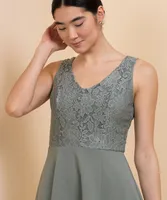 Sleeveless Lace Bodice Fit & Flare Dress