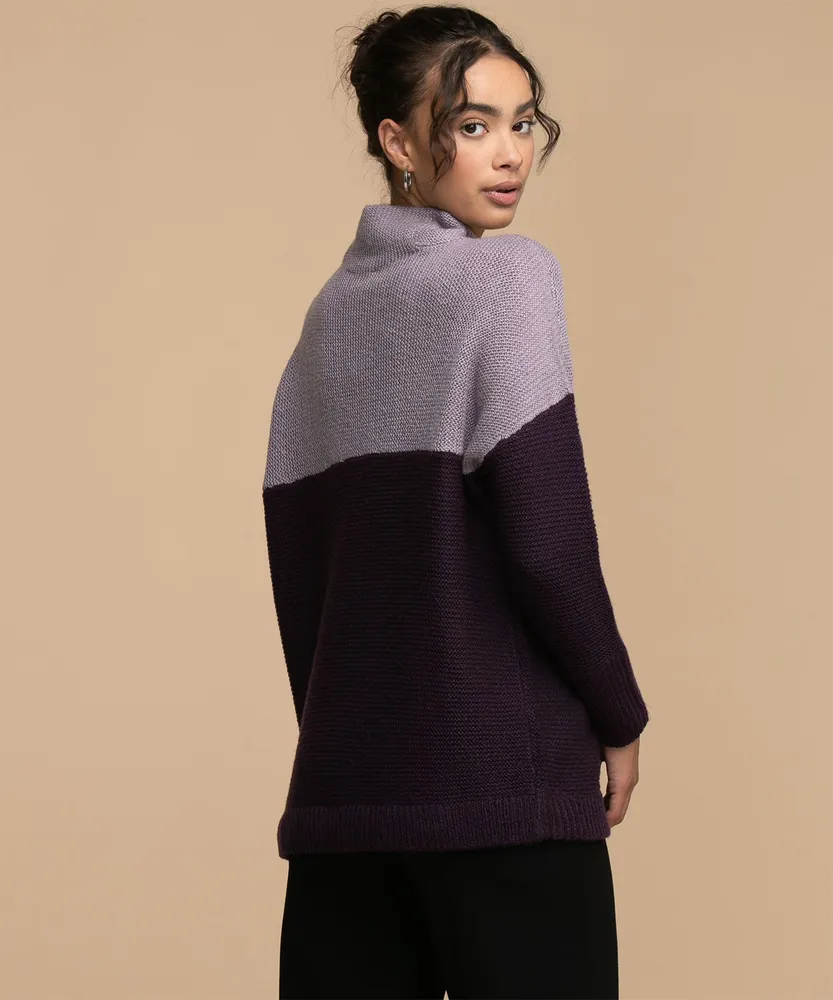 Cloth By RD Colourblock Mock Neck Sweater