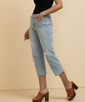 Stevie Straight Crop Jeans