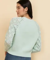 Pointelle Sleeve Cardigan