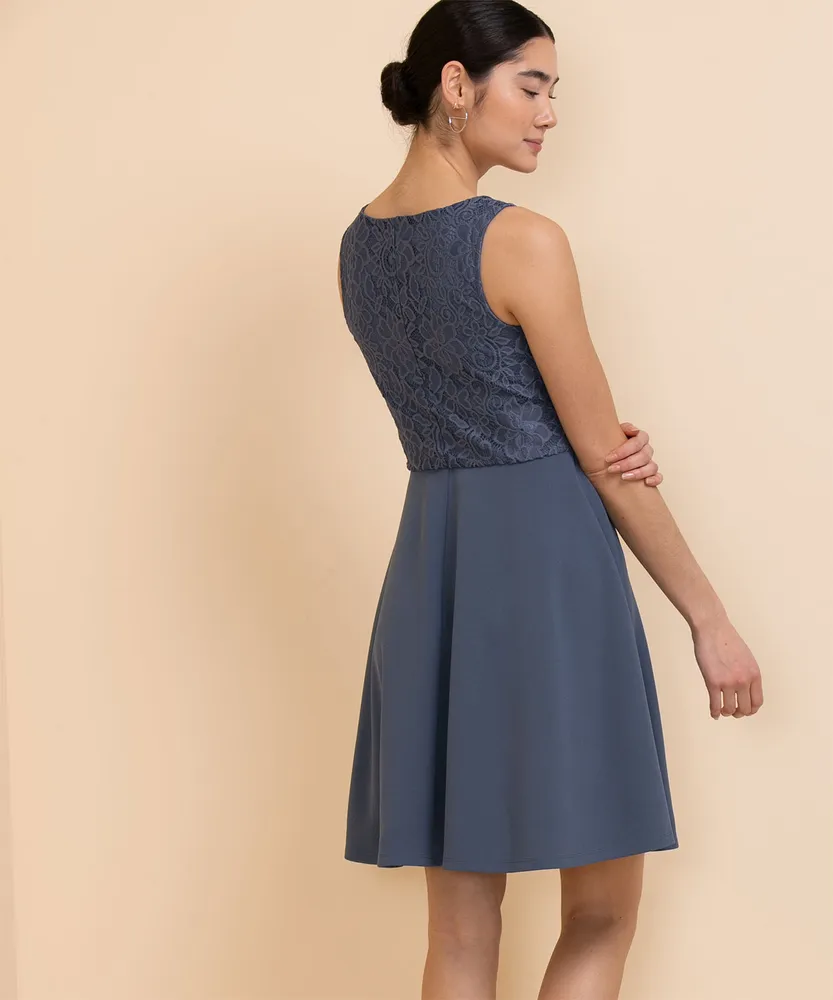 Sleeveless Lace Bodice Fit & Flare Dress