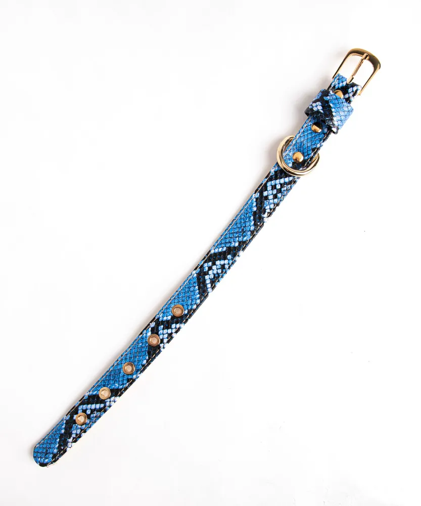 Snakeskin Pet Collar