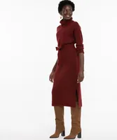 Turtleneck Sweater Dress