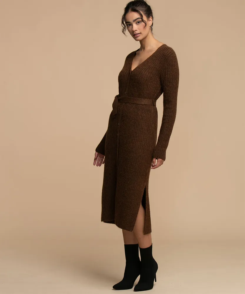 Button Front Sweater Dress
