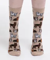 Dog Crew Socks