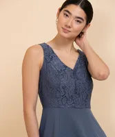 Sleeveless Lace Bodice Fit & Flare Dress