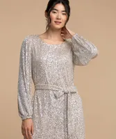 Balloon Sleeve Sequin Dress